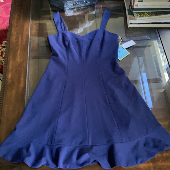 CeCe Mood Blue Sleeveless Dress. - Picture 8 of 11